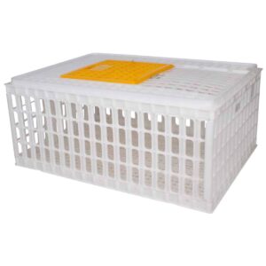 Prepravný box na hydinu - biely | GBB