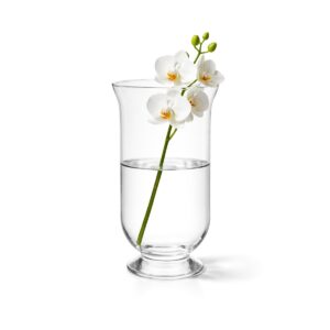 Sklenená váza - Ø 14,5 x 25 cm je elegantným a praktickým riešením na aranžovanie čerstvých kvetov, dekorácií a kvetinových kompozícií.