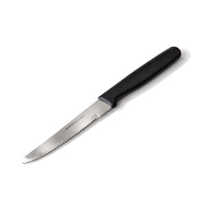 Kuchyňský zoubkovaný nůž z nerezové oceli s mikro-zoubky pro přesné krájení pečiva, ovoce i zeleniny. Ergonomická rukojeť a nízká hmotnost.
