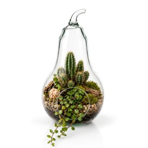 Skleněná dekorační váza ve tvaru hrušky s předním otvorem, ideální pro sezónní aranžmá. Elegantní doplněk do domácností i gastro provozů.