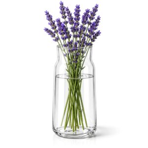 Skleněná váza na květiny Ø 14 x 30 cm je vhodná na čerstvé květiny i sušené dekorace. Elegantní doplněk do gastro provozů i domácností.