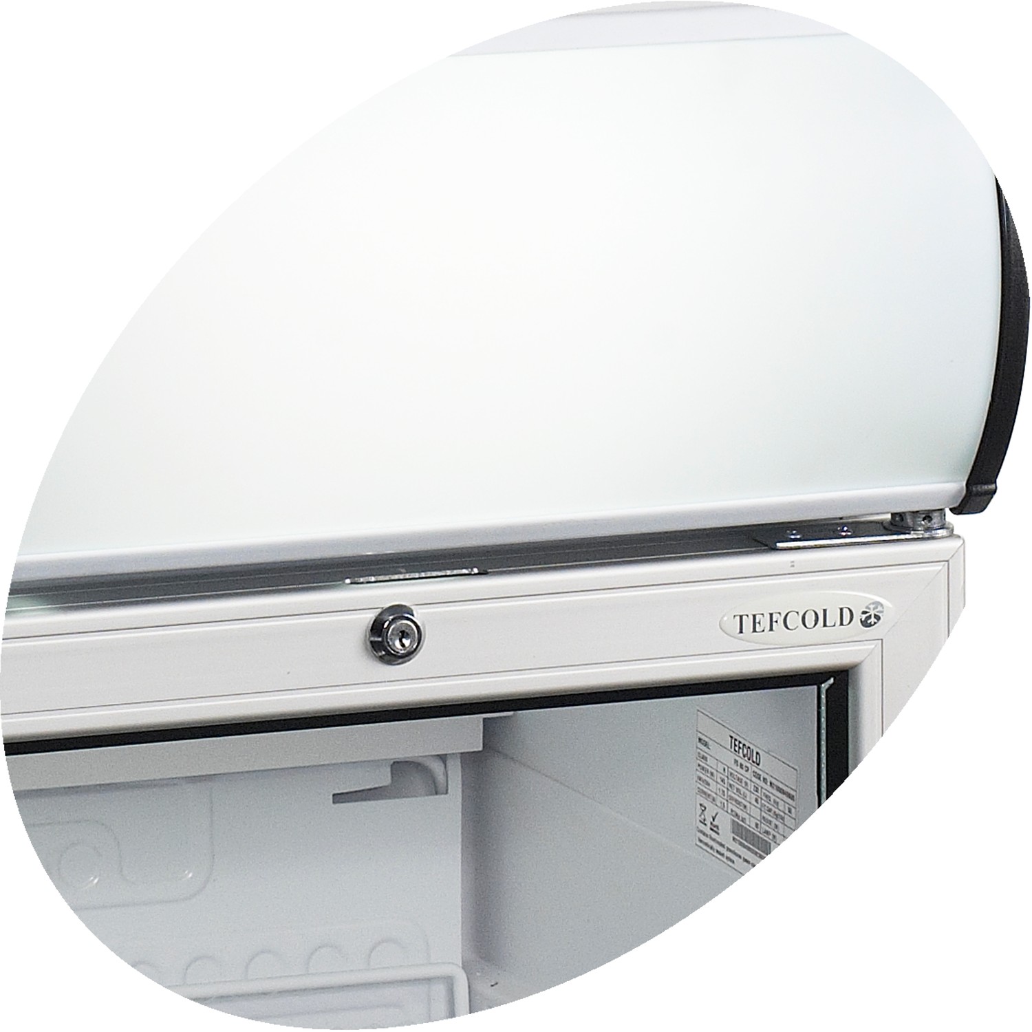 Stolní chladicí skříň prosklené dveře FS 80 CP | TEFCOLD